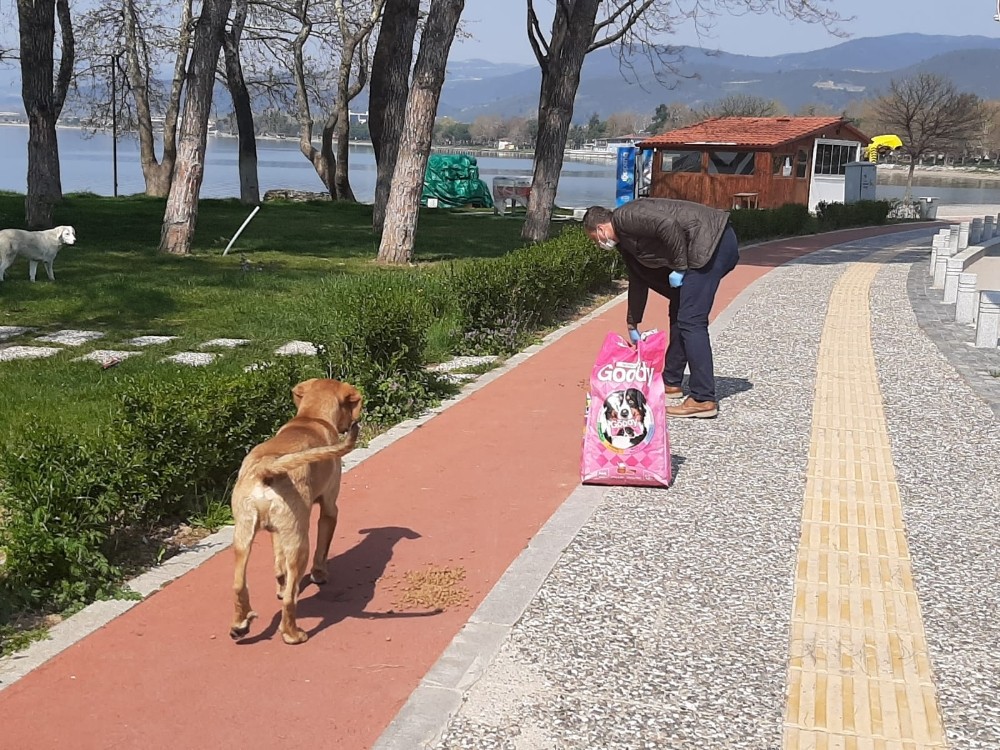 Başkan, sokak hayvanları için çağrıda bulunan vatandaşa özel aracı ile mama götürdü 
