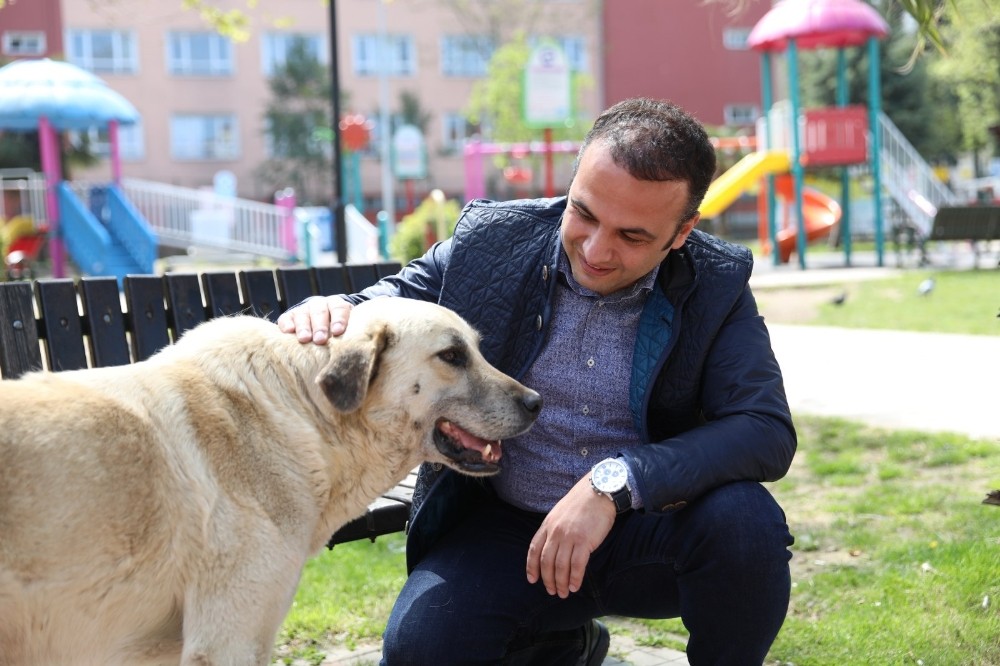 Başkan, sokak hayvanlarını kendi elleriyle besledi 