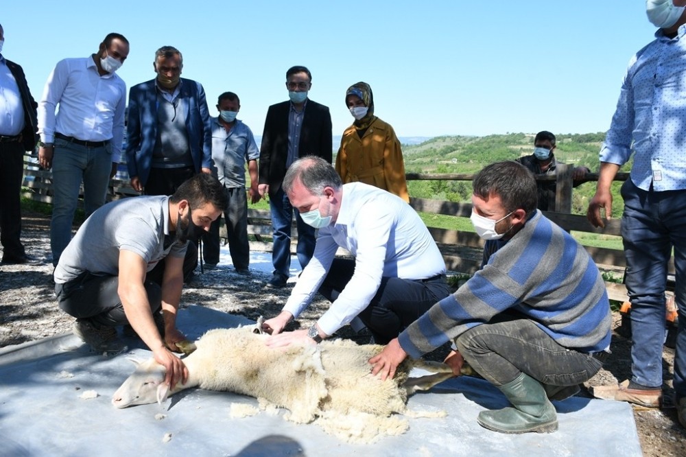 Başkan Taban hayvan yetiştiricileri ile bir araya geldi 