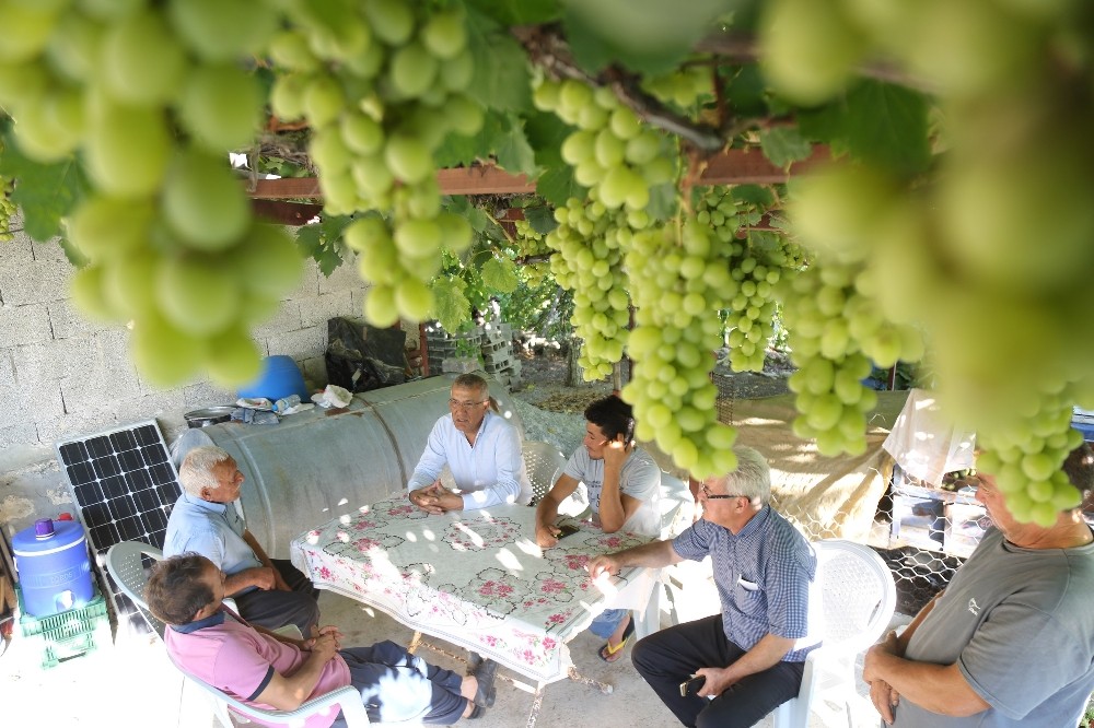 Başkan Tarhan’dan en az oy aldığı Tol Mahallesi’ne ziyaret 