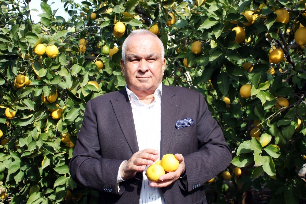 Başkan Tollu: 