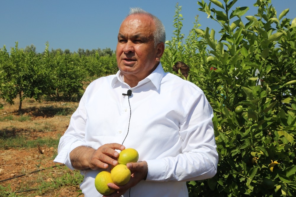 Başkan Tollu: 