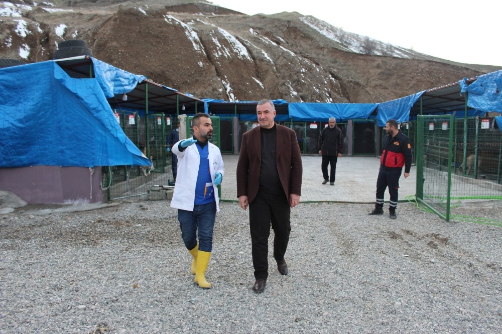 Başkan Turanlı: “Hayvanlar, Allah’ın bize emanetleridir” 