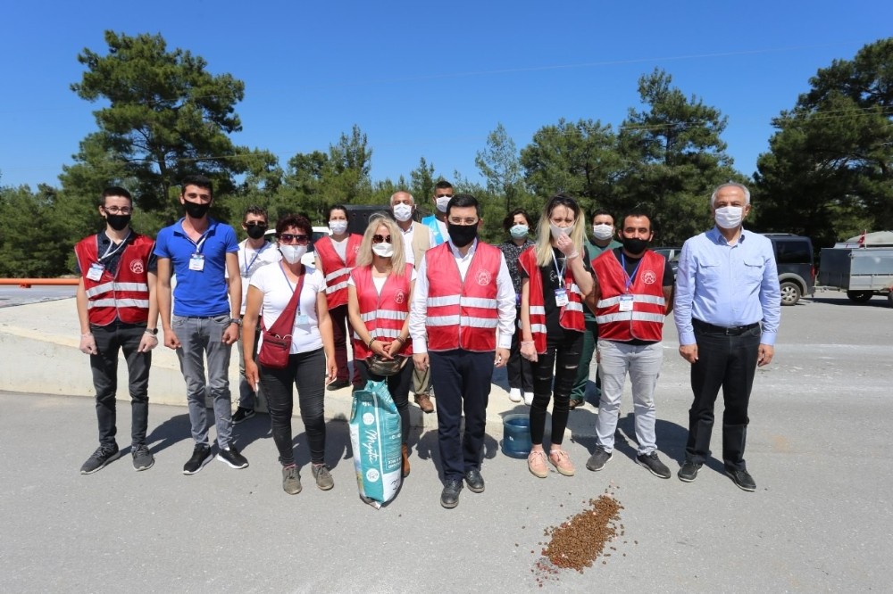 Başkan Tütüncü, sokak hayvanlarını unutmadı 
