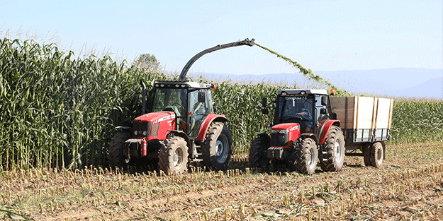 Başkan’dan 70 tonluk silajlık mısır müjdesi!