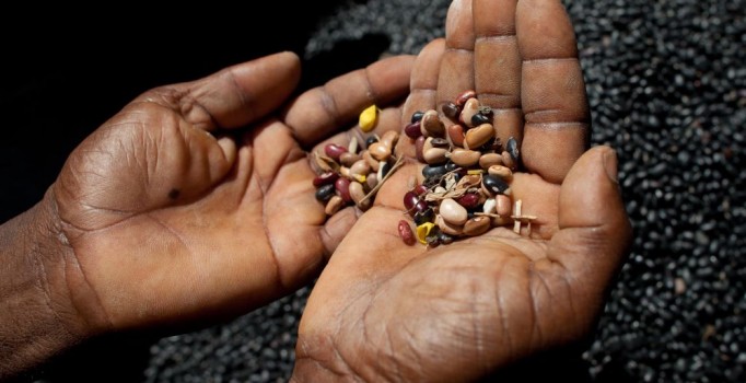 Başkandan milli tohuma destek çağrısı