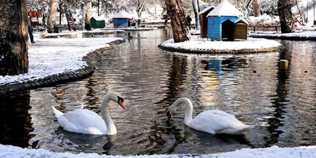 Başkent Ankara buz tuttu!