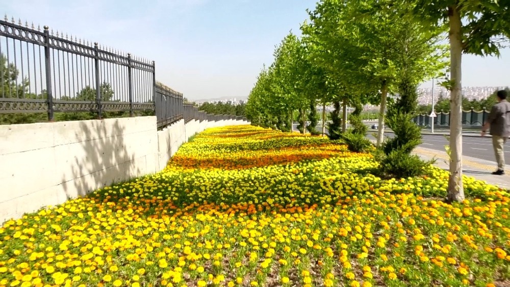 Başkent’in caddeleri rengarenk 