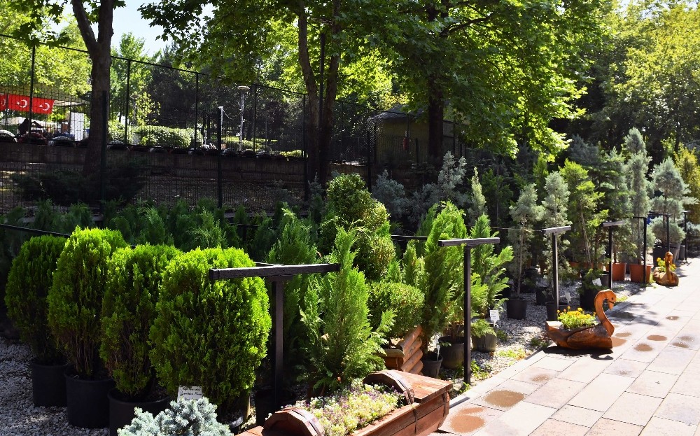 Başkentin çiçek evi 