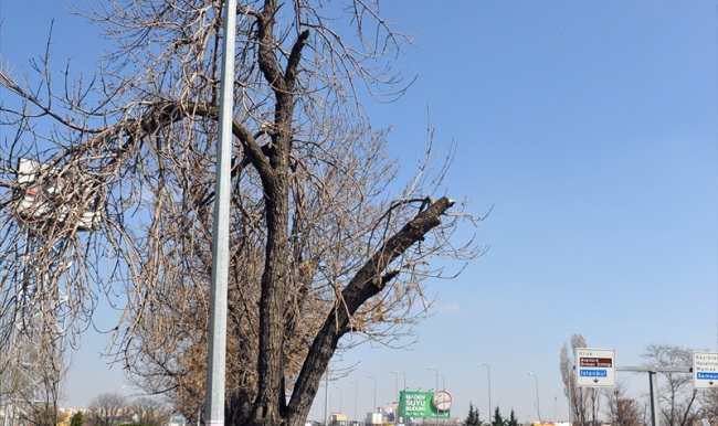 Başkentin yolları teknolojiyle izleniyor