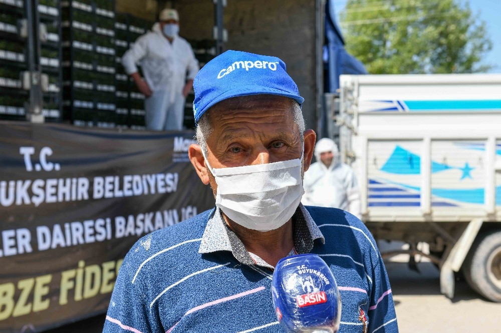 Başkentli üreticiye fide desteği başladı 