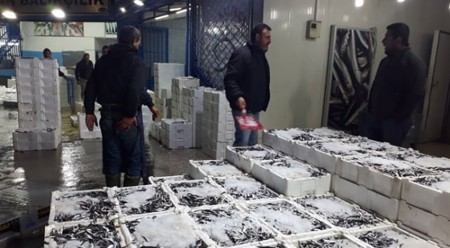 Başkentte balıkçılara şafak denetimi