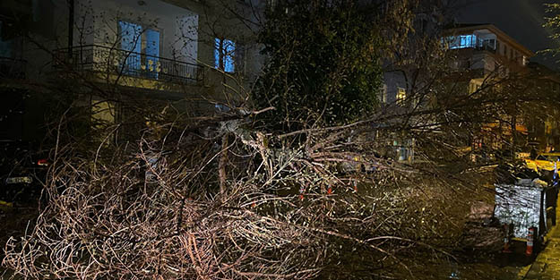 Başkentte facianın eşiğinden dönüldü! Fırtına ağacı devirdi sokak trafiğe kapatıldı