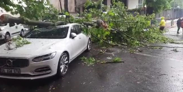 Başkent'te şiddetli fırtına! 3 aracın üzerine ağaç devrildi