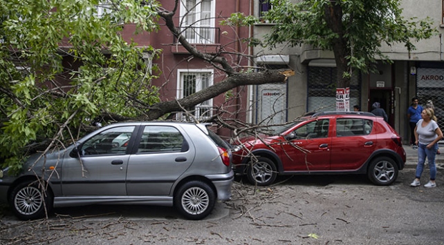 başkentte şiddetli rüzgar ağaçları devirdi