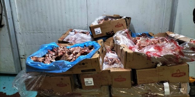 Baskında ortaya çıktı... Mide bulandıran olay