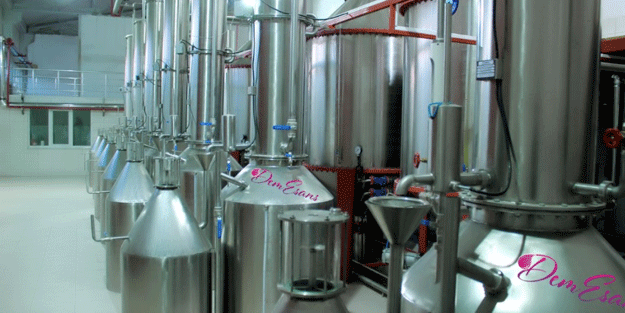 Bastonun içine gizleyip getirdi, ilçeyi ihya etti