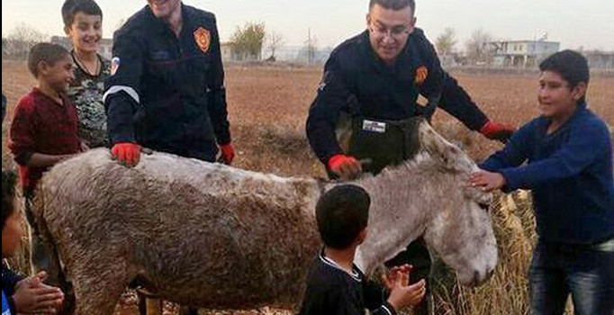 Bataklığa saplanan eşek kurtarıldı