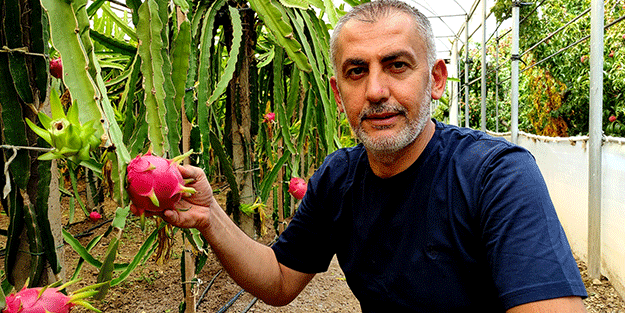 'Batarsın' dediler, dinlemedi! Milyoner oldu