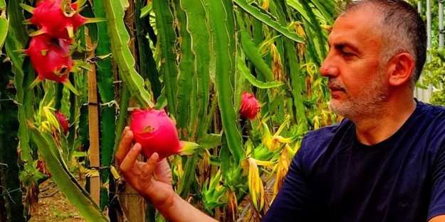 'Batarsın' diyenleri dinlemedi! Şimdi bunlardan servet kazanıyor