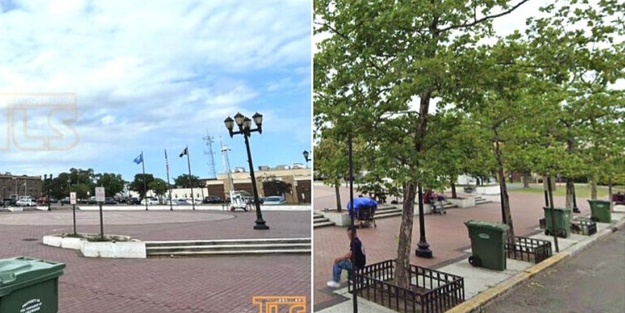 Batı medeniyeti dedikleri: O ülkede evsizler toplanmasın diye gölge yapan ağaçlar kesildi