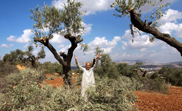 Batı Yaka'da tarıma ağır darbe!