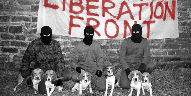 Batı'nın terör örgütünü Türkiye'nin başına bela mı edecekler? Sözde hayvan derneğinden skandal paylaşım!