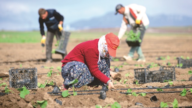 Batıya göçe istihdamlı önlem