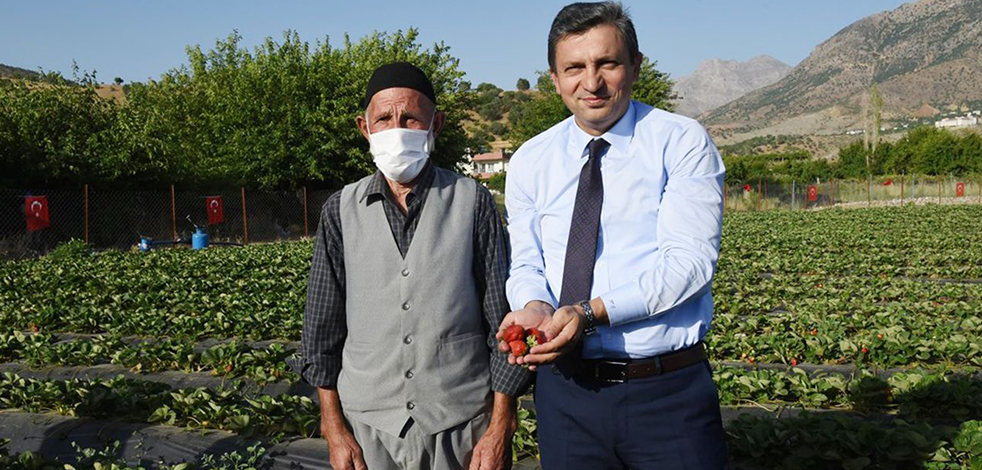 Batman çileği tescillendi: Vali çileğin dünya çapındaki etkisini anlattı