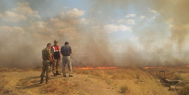 Batman'da anız yakan 30 kişiye para cezası kesildi