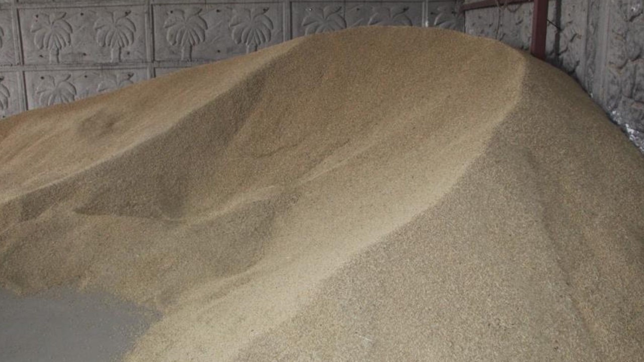 Batman'da arpa krizi! Fiyatlar fırladı