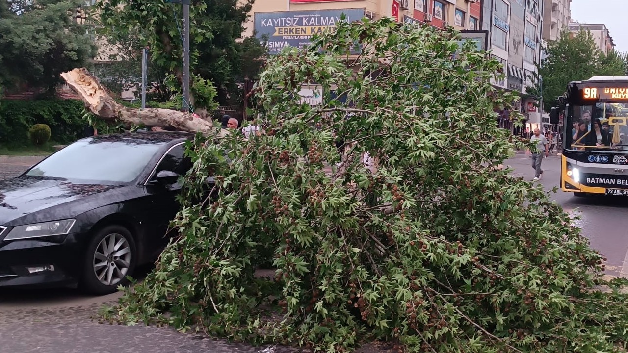 Batman’da devrilen ağaç aracın üzerine düştü