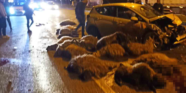 Batman'da feci kaza: En az 40 koyun telef oldu!