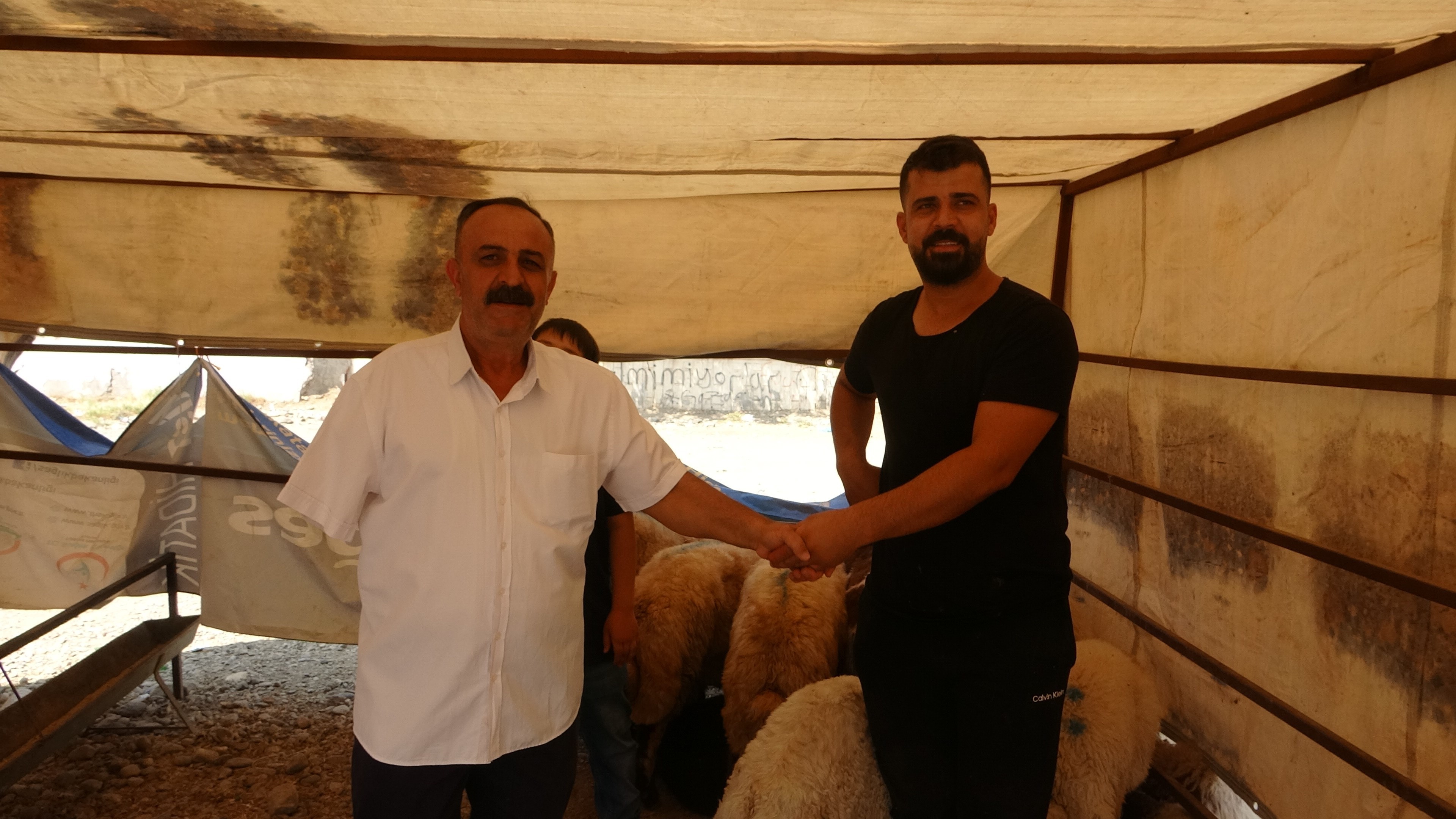 Batman'da kurbanlık satışlarında yoğunluk sürüyor