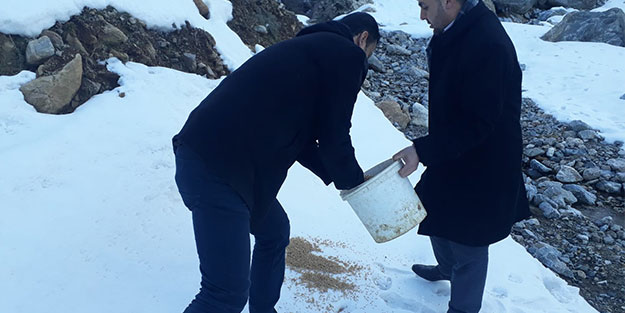 Şehit yakınları doğaya yem bıraktı