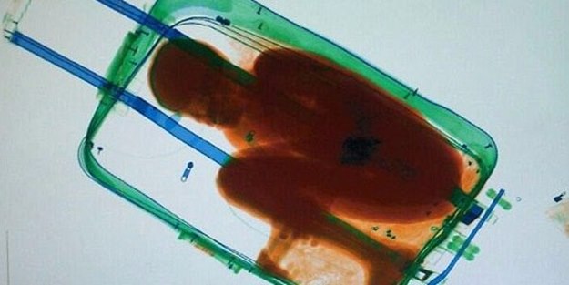 Bavuldan çıkan polisleri şaşkına çevirdi!