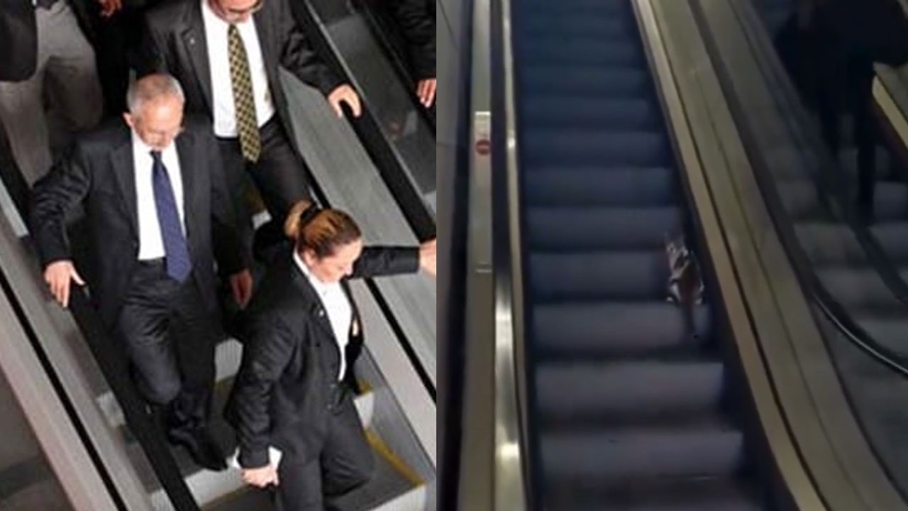 Bay Kemal artık yalnız değil! Bu da merdivene ters binen kedi