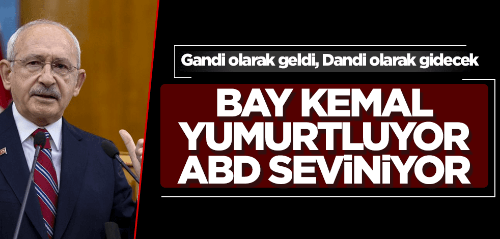 Bay Kemal yumurtluyor, ABD seviniyor
