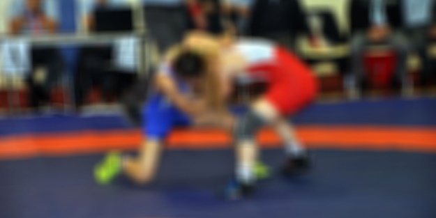 Bayanı güreştirmek kime göre önemli?