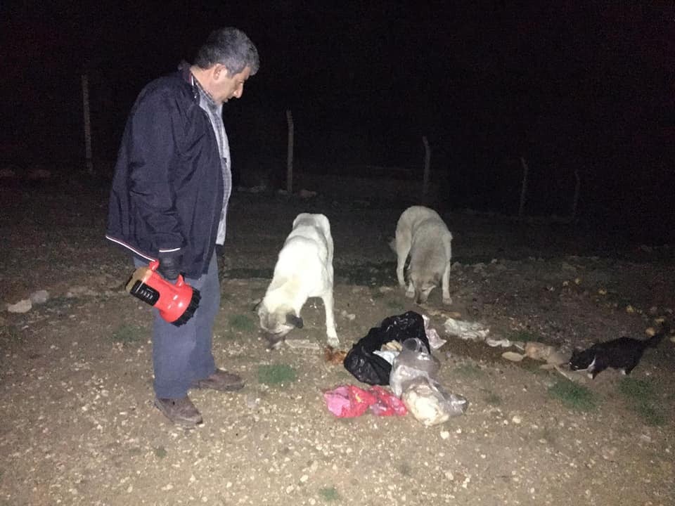 Bayat ekmekler sokak hayvanlarını besledi 
