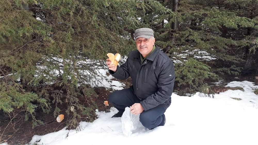 Bayat ekmekleri toplayıp yaban hayvanlarına bırakıyor 