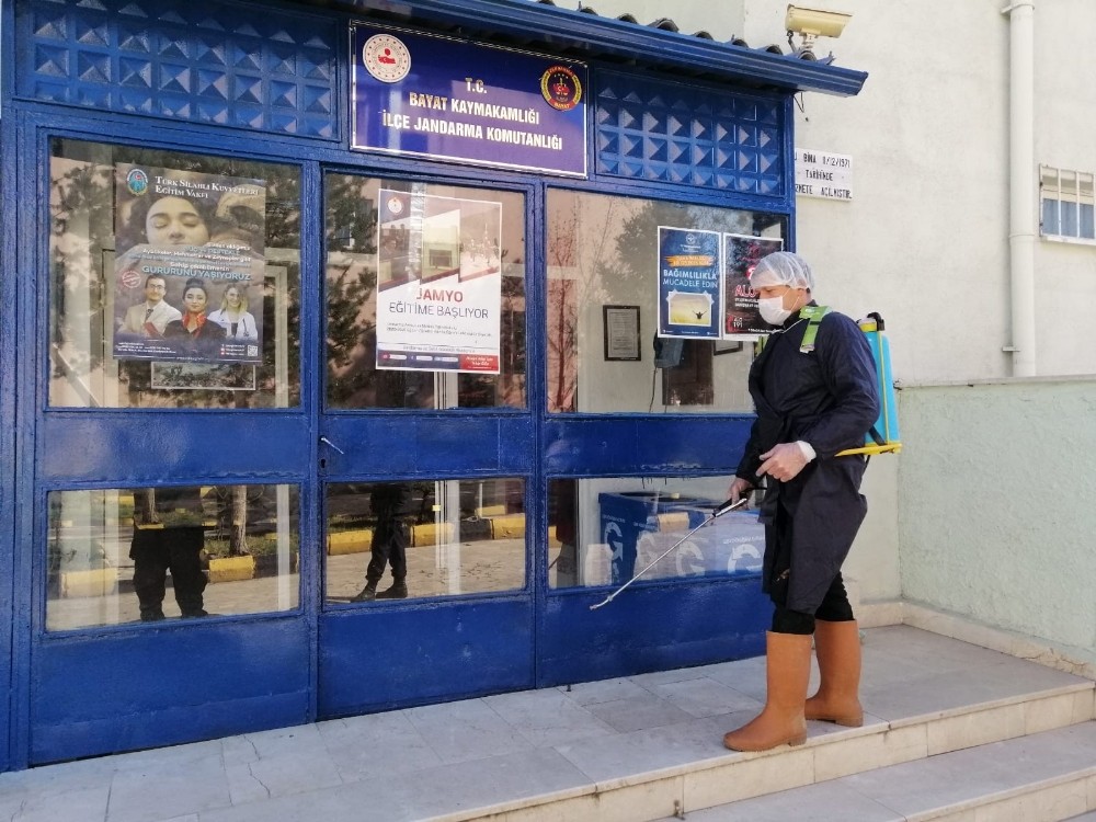 Bayat’ta virüse karşı ilaçlama çalışmaları sürüyor 
