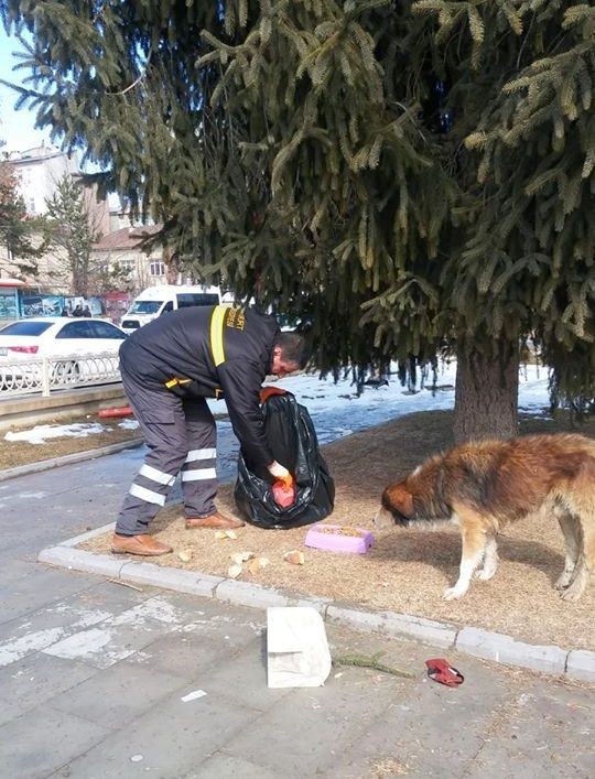 Bayburt ‘ta sokak hayvanları unutulmuyor 