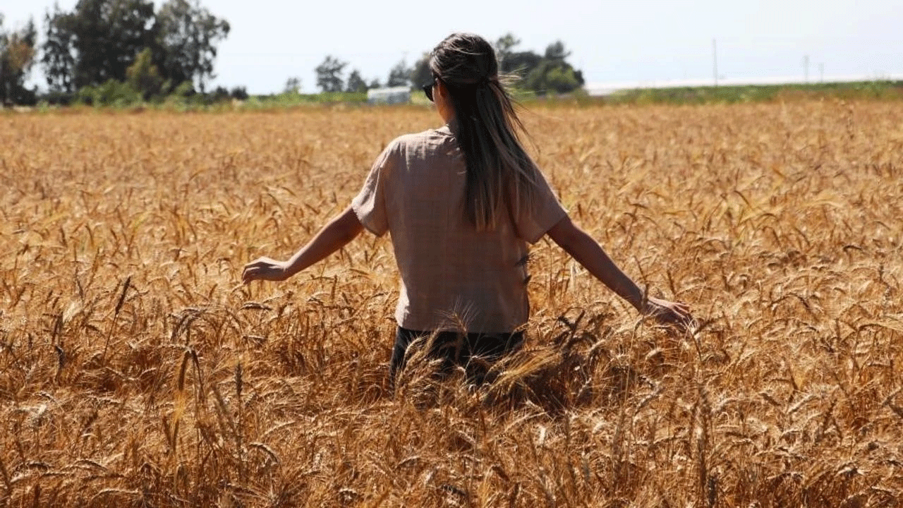 Bayburt yanıyor! Aydıntepe'de termometreler 37 dereceyi gördü