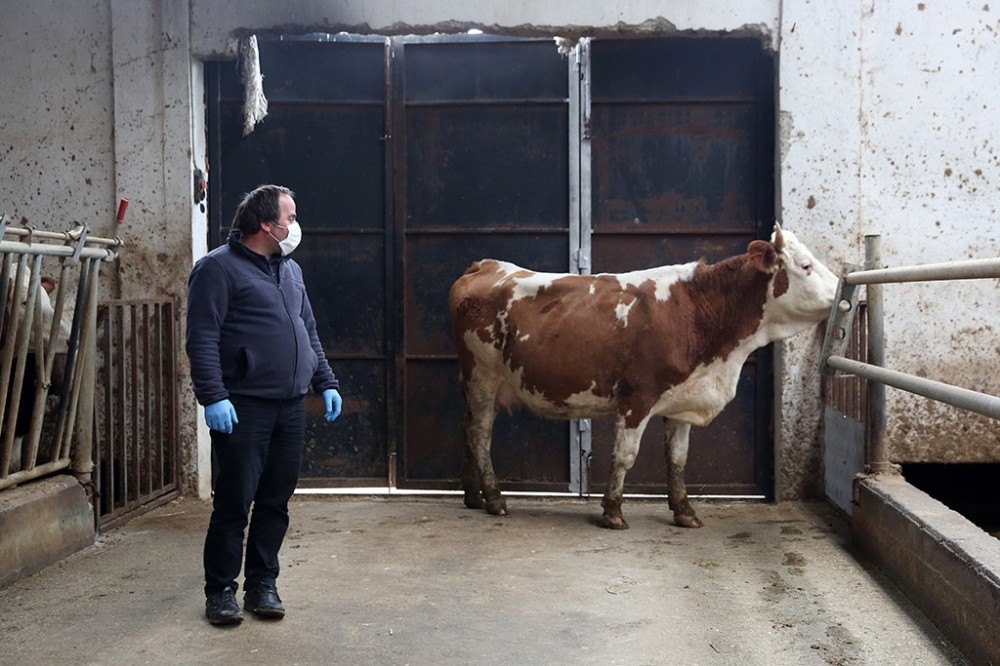 Bayburtlu çiftçilerden Milli Dayanışma Kampanyası’na tam destek 