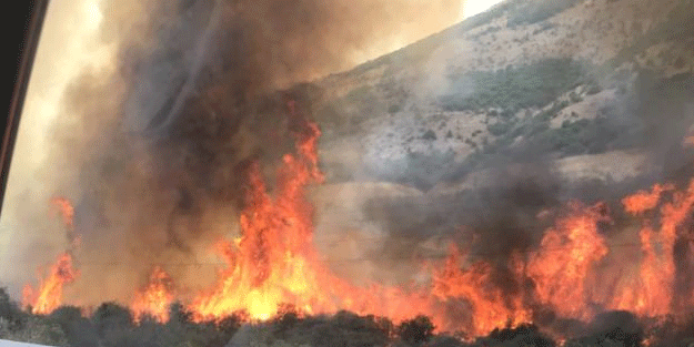 Bayburt'taki yangında 20 hektar alan zarar gördü