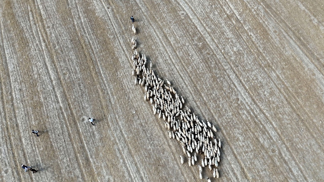 Bayburt’ta yayla göçü başladı!