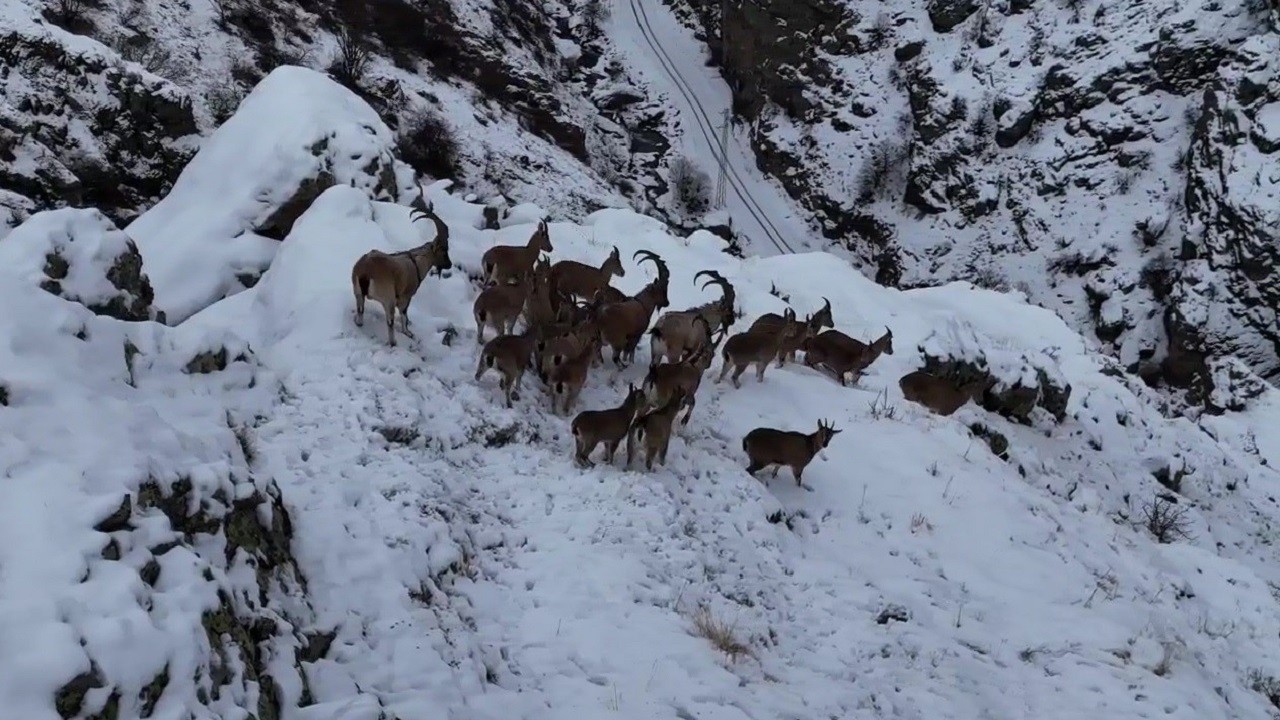 Bayburt’un zirvelerinde nadir görüntü