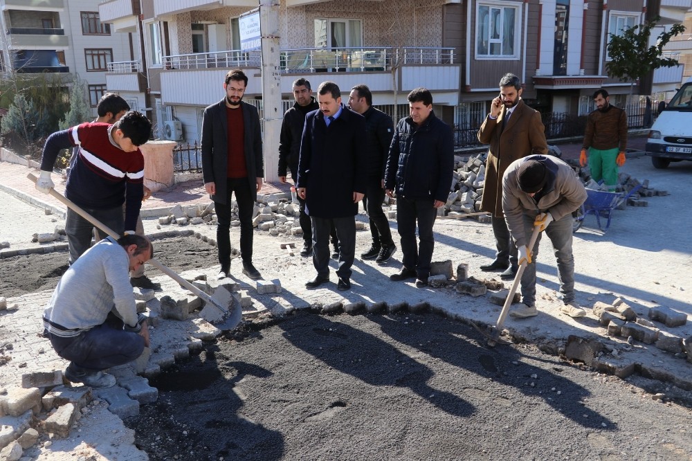 Baydilli alan çalışmalarını inceledi 