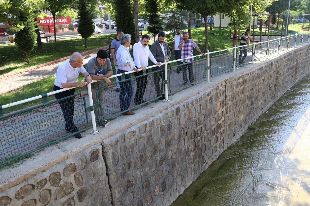 Baydilli Karaköprü’yü sokak sokak geziyor 